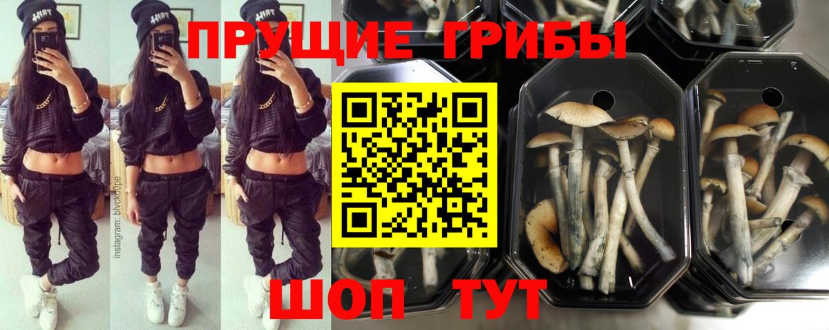 Галлюциногенные грибы мицелий Шадринск